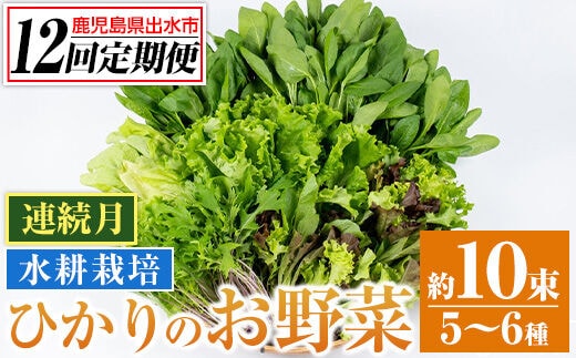 i850 ＜定期便・計12回(連続月)＞ひかりのお野菜(約10束・5～6種) 国産 野菜 やさい 葉物 旬 ほうれん草 水菜 チンゲン菜 小松菜 リーフレタス ルッコラ 水耕栽培 ミックスリーフ 山東白菜 何が届くかはお楽しみ【ひかりの郷】