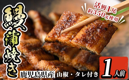 i800 鹿児島県産 うなぎ蒲焼(1尾)うなぎ 鰻 ウナギ 蒲焼 国産 鹿児島県産 おかず 晩御飯 特別な日 土用の丑の日【とらふぐ家】