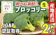 i994 ≪2025年12月上旬～4月下旬の間に発送予定≫ ブロッコリー 約2kg (M～L玉) 鹿児島 出水 国産 生 野菜 ブロッコリー 朝どれ 新鮮 産地直送 JGAP認証 安心安全 【のだ農産】