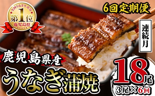 i939-A ＜定期便・計6回(連続月)＞鹿児島県産うなぎ蒲焼3尾セット＜(約140g×3・計約420g)×全6回＞定期便 うなぎ 鰻 ウナギ 3尾 蒲焼き 国産 鹿児島県産 焼きたて 生産量日本一 真空パック おかず 晩御飯 特別な日 土用の丑の日【薩摩川内鰻】