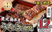 i938-A ＜定期便・計6回(連続月)＞鹿児島県産うなぎ蒲焼2尾セット＜(約140g×2・計約280g)×全6回＞定期便 うなぎ 鰻 ウナギ 2尾 蒲焼き 国産 鹿児島県産 焼きたて 生産量日本一 真空パック おかず 晩御飯 特別な日 【薩摩川内鰻】