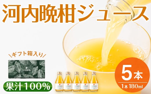 i990-A 河内晩柑ジュース(180ml×5本)飲料 ジュース みかん 蜜柑 果汁 100% 河内晩柑 無着色 無香料 ストレートジュース 安心安全 ギフト 贈り物 贈答【江崎果樹園】