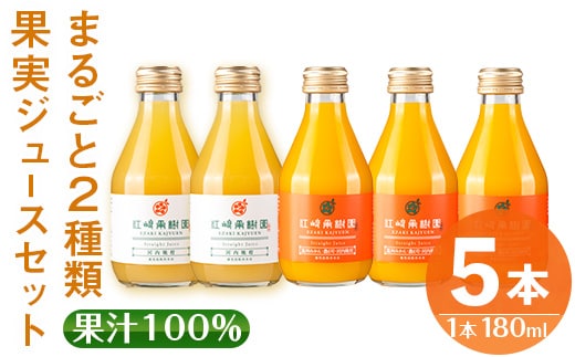 i990-D まるごと2種類果実ジュースセット(180ml×5本・全2種) 飲料 ジュース みかん 蜜柑 詰合せ 果汁 100% 河内晩柑 農6号 温州みかん 無着色 無香料 ストレートジュース 安心安全 ギフト 贈り物 【江崎果樹園】