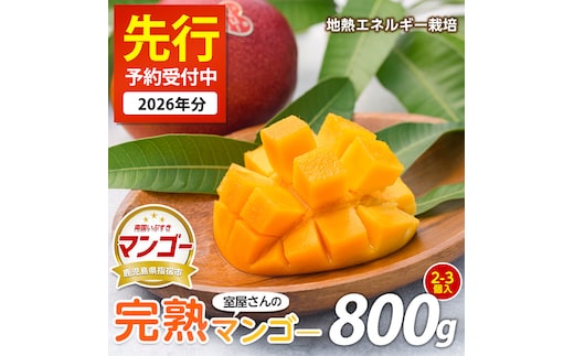 【2026年 発送】室屋さんの完熟指宿産マンゴー約800g 2個～3個入り(中園久太郎商店/IB016-001) マンゴー フルーツ 果物 旬 夏 指宿 いぶすき 鹿児島 完熟 お供え 御供 ギフト 贈り物 プレゼント グルメ 南国 南国フルーツ 果実 マンゴー 太陽 国産 鹿児島県産 果汁
