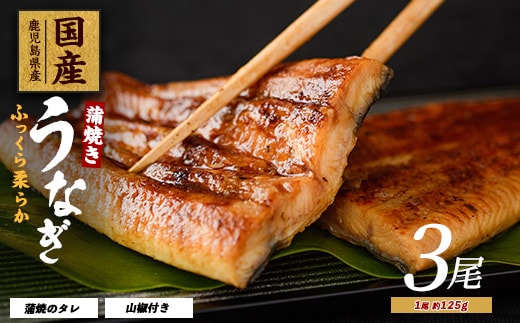 【2025年12月21日までのご入金で年内発送】【鹿児島県産】うなぎ蒲焼じっくり焼き約125g×3尾 化粧箱入り(大新/016-1900) 鰻 ウナギ 蒲焼 国産 丑の日 うな重 無頭 ギフト プレゼント 贈り物 贈答 惣菜 総菜 小分け レンジ 簡単 蒲焼き 冷凍 鹿児島県産