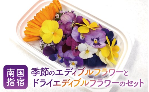 季節のエディブルフラワー(約100輪)(MICHI-FARM/010-1526) 花 食べられる花 食用花 エディブル フラワー 彩り 旬 飾り トッピング