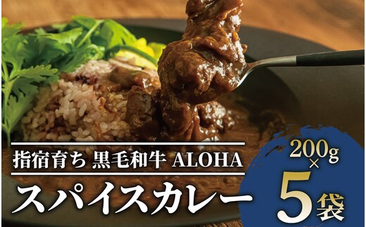 指宿育ち 黒毛姫牛ALOHAスパイスカレー200g×5袋セット(Meat you/019-1266) 牛肉 カレー
