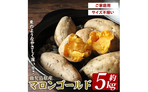 鹿児島県産マロンゴールド約5kg(JAいぶすき/IB063-003) さつまいも 鹿児島 家庭用 サイズ 不揃い 芋 焼き芋 天ぷら