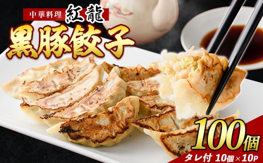 黒豚餃子 10個入×10パック【地元の中華料理店で人気！】(紅龍/010-1577) ぎょうざ 冷凍 ギョウザ 餃子鍋 点心 飲茶 中華 惣菜 そうざい おかず 簡単 野菜 黒豚 豚 指宿 指宿市 鹿児島