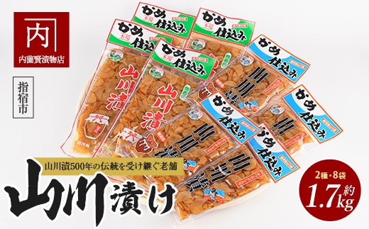 老舗「内薗賢漬物店」の本場山川漬セット(活お海道/010-1936) 鹿児島 指宿 山川 漬物 つけもの お漬物 おつけもの やまがわ 山川漬 野菜 詰め合わせ セット お茶うけ お弁当 おかず 国産 ご飯のお供 ごはんのおとも だいこん 大根