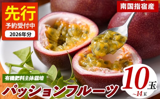 【2026年 発送】パッションフルーツ10玉～14玉(マンゴーの森/010-2058) 鹿児島 国産 指宿市 トロピカルフルーツ 南国フルーツ 果実 果肉 果物 ビタミン 農家直送 パッションフルーツ パッションフルーツジュース