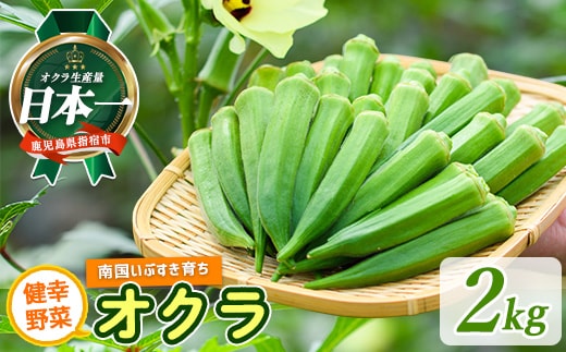 指宿(いぶすき)産オクラ2kg(オネファーム/IB130-003) 野菜 夏野菜 旬 特産 夏 新鮮 オクラ 鹿児島 オネファーム 指宿市 漬物 お福分け おすそ分け