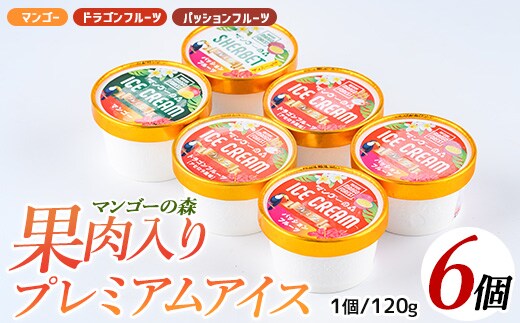 ゴロゴロ果肉入りプレミアムアイス6個セット(マンゴーの森/013-1212)