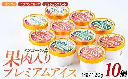 ゴロゴロ果肉入りプレミアムアイス10個セット(マンゴーの森/022-1211)