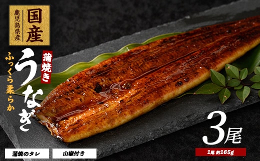【2025年12月21日までのご入金で年内発送】【鹿児島県産】うなぎ蒲焼じっくり焼き約165g×3尾 化粧箱入り(大新/023-1105) うなぎ 国産 鹿児島 蒲焼 丑の日 丑 土用丑の日