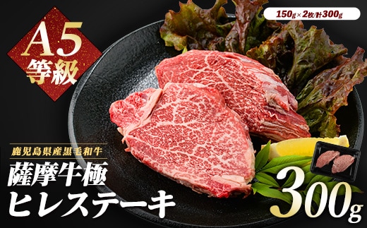 薩摩牛 極 ヒレステーキ 300g(2枚入)(カミチク/026-1657) A5 国産 牛肉 牛 ブランド牛 黒毛和牛 鹿児島県産 黒毛 A5ランク 国産牛 お肉 肉 ヒレ ヒレ肉 鉄板焼き 鹿児島 指宿 鹿児島県産 ギフト おかず ご褒美 ステーキ 和牛 冷凍 厚切り 厚切りステーキ きわみ 極み 薩摩 薩摩牛 さつま