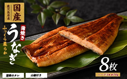 【鹿児島県産】うなぎ蒲焼じっくり焼きハーフカット約70g×8枚 化粧箱入り(大新/031-1904) 鰻 ウナギ 蒲焼 国産 丑の日 うな重 無頭 ギフト プレゼント 贈り物 贈答 惣菜 総菜 小分け レンジ 簡単 蒲焼き ハーフサイズ 冷凍 鹿児島県産