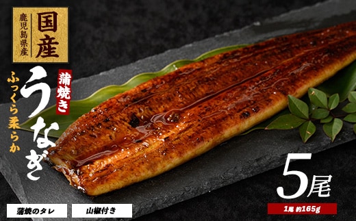 【2025年12月21日までのご入金で年内発送】【鹿児島県産】うなぎ蒲焼じっくり焼き約165g×5尾 化粧箱入り(大新/037-1106) うなぎ 国産 鹿児島 蒲焼 丑の日 丑 土用丑の日
