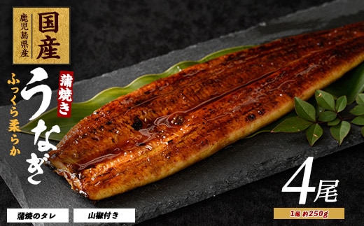 【2025年12月21日までのご入金で年内発送】【鹿児島県産】うなぎ蒲焼じっくり焼き約250g×4尾 木目化粧箱入り(大新/038-1108) 鰻 蒲焼 国産 丑の日 うな重 無頭 ギフト ふっくら 小分け レンジ 簡単