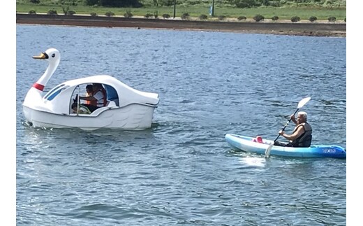 【池田湖でアクティビティ体験】スワンボート 60分間1台レンタル(えぷろんはうす池田/A-179)