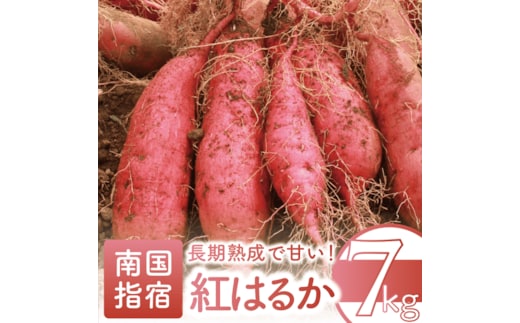 【2025年11月中旬～発送】指宿産 紅はるか 約7kg(アグリスタイル/A-301) 鹿児島 サツマイモ 薩摩芋 指宿市 焼芋 やきいも 焼きいも スイーツ おやつ デザート
