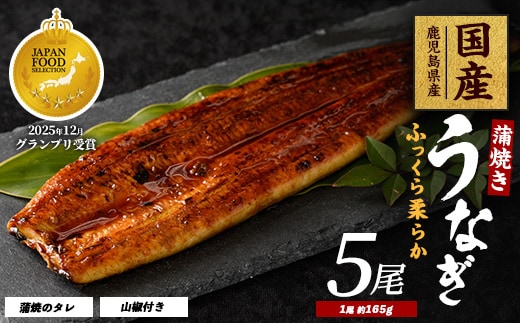【鹿児島県産】うなぎ蒲焼じっくり焼き約165g×5尾 化粧箱入り(大新/037-1106) うなぎ 国産 鹿児島 蒲焼 丑の日 丑 土用丑の日