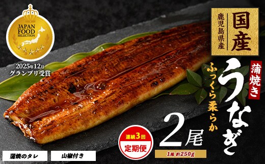 【全３回定期便・連続お届け】鹿児島県産 うなぎ 蒲焼 じっくり焼き約250g×2尾(大新/Z060-1696) 鰻 蒲焼 国産 丑の日 うな重 無頭 ギフト ふっくら 小分け レンジ 簡単 頒布会 小分け うな丼 ウナギ 冷凍