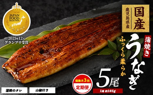 【全３回定期便・偶数月お届け】鹿児島県産うなぎ蒲焼じっくり焼き約165g×5尾(大新/Z100-1698) 鰻 蒲焼 国産 丑の日 うな重 無頭 ギフト ふっくら 小分け レンジ 簡単 頒布会 小分け うな丼 ウナギ 冷凍