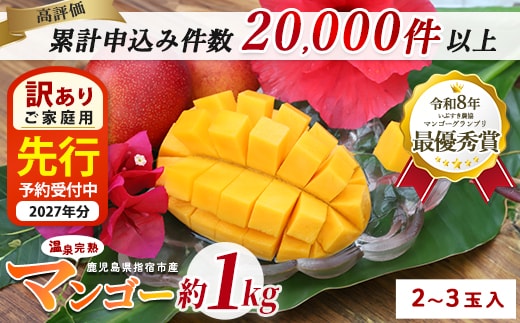 【2027年発送】【訳あり】鹿児島県いぶすき産 温泉完熟マンゴー約1kg(T&P/IB057-001) マンゴー フルーツ 果物 旬 夏 指宿 いぶすき 鹿児島 完熟 グルメ 南国 南国フルーツ 果実 マンゴー 太陽 国産 鹿児島県産