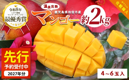 【2027年発送】南国いぶすきの温泉熱で育てた甘くて上品な温泉完熟マンゴー約2kg4～6個(T&P/IB057-002) マンゴー フルーツ 果物 旬 夏 指宿 いぶすき 鹿児島 完熟 お供え 御供 ギフト 贈り物 プレゼント グルメ 南国 南国フルーツ 果実 マンゴー 太陽 国産 鹿児島県産 果汁