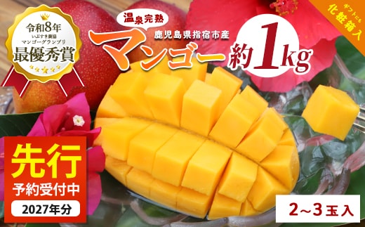 【2027年発送】鹿児島県いぶすき産 温泉完熟マンゴー約1kg(T&P/IB057-003) マンゴー フルーツ 果物 旬 夏 指宿 いぶすき 鹿児島 完熟 お供え 御供 ギフト 贈り物 プレゼント グルメ 南国 南国フルーツ 果実 マンゴー 太陽 国産 鹿児島県産 果汁