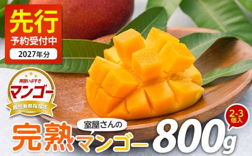【2027年 発送】室屋さんの完熟指宿産マンゴー約800g 2個～3個入り(中園久太郎商店/IB016-001) マンゴー フルーツ 果物 旬 夏 指宿 いぶすき 鹿児島 完熟 お供え 御供 ギフト 贈り物 プレゼント グルメ 南国 南国フルーツ 果実 マンゴー 太陽 国産 鹿児島県産 果汁