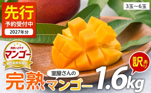 【2027年 発送】室屋さんの完熟マンゴー(訳あり品)約1.6kg 3〜6玉(中園久太郎商店/IB016-002) マンゴー フルーツ 果物 旬 夏 指宿 いぶすき 鹿児島 完熟 お供え 御供 ギフト 贈り物 プレゼント グルメ 南国 南国フルーツ 果実 マンゴー 太陽 国産 鹿児島県産 果汁