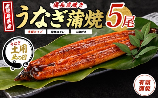 【丑の日に合わせてお届け！】鹿児島産鰻蒲焼5尾(奈良/IB020-002u) うなぎ 国産 鹿児島 蒲焼 丑の日 丑 土用丑の日