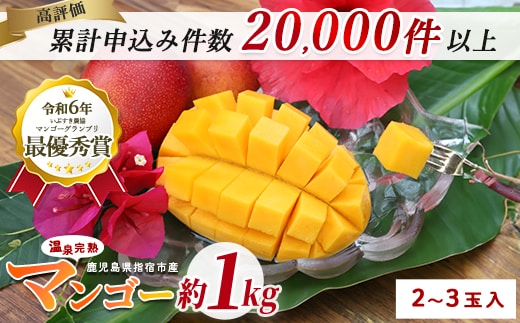 【2026年発送】【訳あり】鹿児島県いぶすき産 温泉完熟マンゴー約1kg(T&P/IB057-001) マンゴー フルーツ 果物 旬 夏 指宿 いぶすき 鹿児島 完熟 グルメ 南国 南国フルーツ 果実 マンゴー 太陽 国産 鹿児島県産