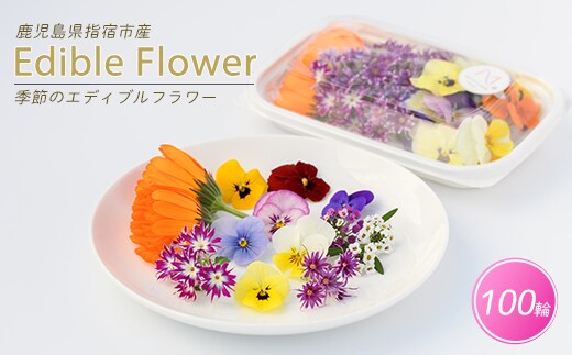 季節のエディブルフラワー(約100輪)(MICHI-FARM/IB125-001) 花 食べられる花 食用花 エディブル フラワー 彩り 旬 飾り トッピング