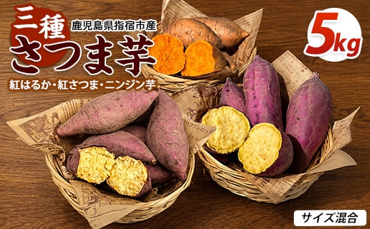 【2026年10月上旬～順次発送】＜訳あり＞鹿児島県産 さつまいも 3種詰め合わせ 約5kg (アグリファースト/IB162-001) 鹿児島 さつまいも さつま芋 サツマイモ 紅さつま 紅はるか ニンジン芋 野菜 おやつ セット 常温
