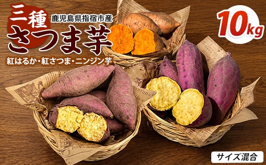 【2026年10月上旬～順次発送】＜訳あり＞鹿児島県産 さつまいも 3種詰め合わせ 約10kg (アグリファースト/IB162-004) 鹿児島 さつまいも さつま芋 サツマイモ 紅さつま 紅はるか ニンジン芋 野菜 おやつ セット 常温