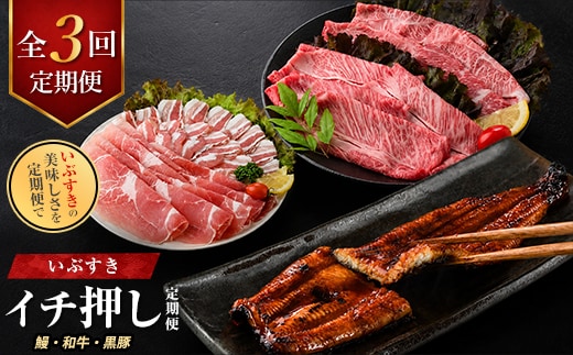 【全３回定期便】鰻・和牛・黒豚 指宿のイチ押し定期便(IBZ999-001) うなぎ 鰻 ウナギ 国産 蒲焼き かばやき うな重 うな丼 鹿児島県 牛肉 すき焼き しゃぶしゃぶ スライス 冷凍 肉 黒毛和牛 和牛 国産 A5 ロース 霜降り 赤身 豚肉 黒豚 しゃぶしゃぶ 豚バラ もも