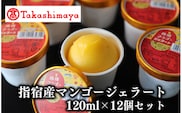 ＜高島屋選定品＞指宿マンゴージェラート12個セット(6個×2箱)(IB001-035/59D1964)