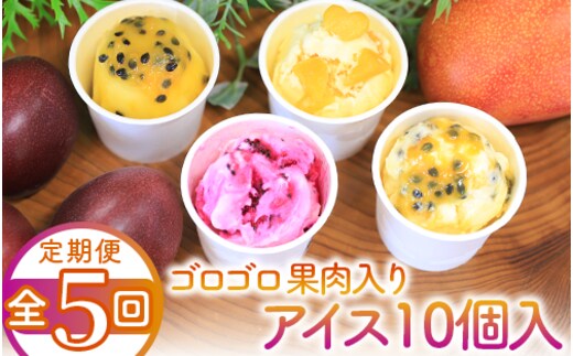 【全５回定期便】ゴロゴロ果肉入りアイス10個入定期便(マンゴーの森/Z100-290) アイス フルーツ マンゴー スイーツ シャーベット