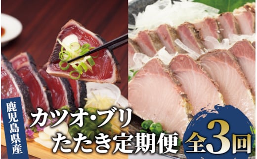 【全３回定期便】カツオとブリのたたき定期便(指宿食品/Z041-307)
