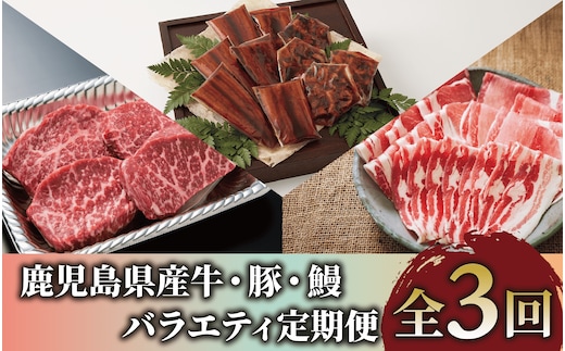 【全３回定期便】鹿児島県産牛・豚・鰻バラエティ定期便(Z055-1731) 牛 豚 鰻 牛肉 豚肉 肉 うなぎ 国産 鹿児島県産 鹿児島産 セット 頒布会 定期 ステーキ しゃぶしゃぶ 蒲焼 すき焼 すきやき すき焼き 冷凍 うなぎの蒲焼 うなぎ蒲焼 かばやき