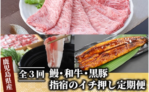 【全３回定期便】鰻・和牛・黒豚 指宿のイチ押し定期便(Z055-294)国産 うなぎ 牛肉 豚肉