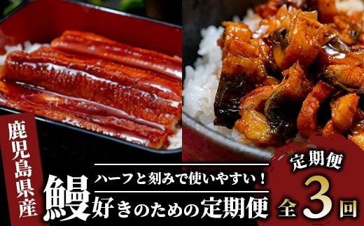 【全３回定期便】鰻好きのための定期便(奈良/Z075-477) 国産 うなぎ 小分け 鹿児島 蒲焼 いぶすき