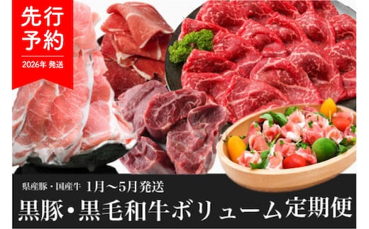 【2026年発送 先行予約】【全５回定期便】黒豚 ・ 黒毛 和牛 ボリューム 定期便 1月～5月発送(水迫畜産/Z050-531) 牛 豚 肉 牛肉 豚肉 黒毛和牛 鹿児島県産 黒豚 生ハム 切り落とし カレー シチュー 肉 国産 いぶすき 鹿児島 指宿 頒布会 定期 定期便 肉じゃが 生姜焼き 家庭用