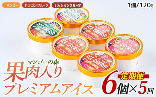【全５回定期便】ゴロゴロ果肉入りアイス6個入定期便(マンゴーの森/Z060-291) アイス フルーツ マンゴー スイーツ シャーベット