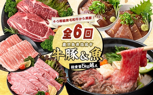 【全６回定期便】【総重量5㎏越え】4・5等級黒毛和牛・黒豚・マグロ丼・カツオ丼・カツオのたたき・すり身定期便(水迫畜産/Z075-1983) 豚肉 牛肉 生ハム すき焼き 和牛 スライス 焼肉 ロース 黒豚 鍋 小分け ステーキ 焼き肉 かつお 指宿 鹿児島 いぶすき