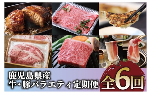 【全６回定期便】鹿児島県産牛・豚バラエティ定期便(Z120-2043) 牛 牛肉 肉 豚 豚肉 黒豚 茶美豚 サーロイン ステーキ 黒毛和牛 豚スライス 豚スラ カタロース ハンバーグ 餃子 中華 中華料理 黒豚餃子 鍋 しゃぶしゃぶ