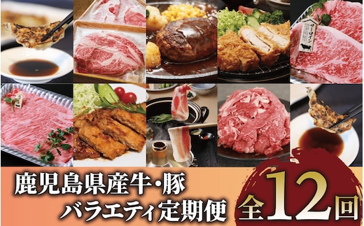 【全１２回定期便】鹿児島県産牛・豚バラエティ定期便(Z180-2042) 牛 牛肉 豚 豚肉 肉 鹿児島県産 国産 鹿児島産 黒牛 茶美豚 黒豚 餃子 しゃぶしゃぶ すき焼き すきやき すき焼 総菜 惣菜 冷凍 黒毛和牛 ステーキ ハンバーグ スライス 切り落とし 切り落し 切落し 頒布会 セット 定期